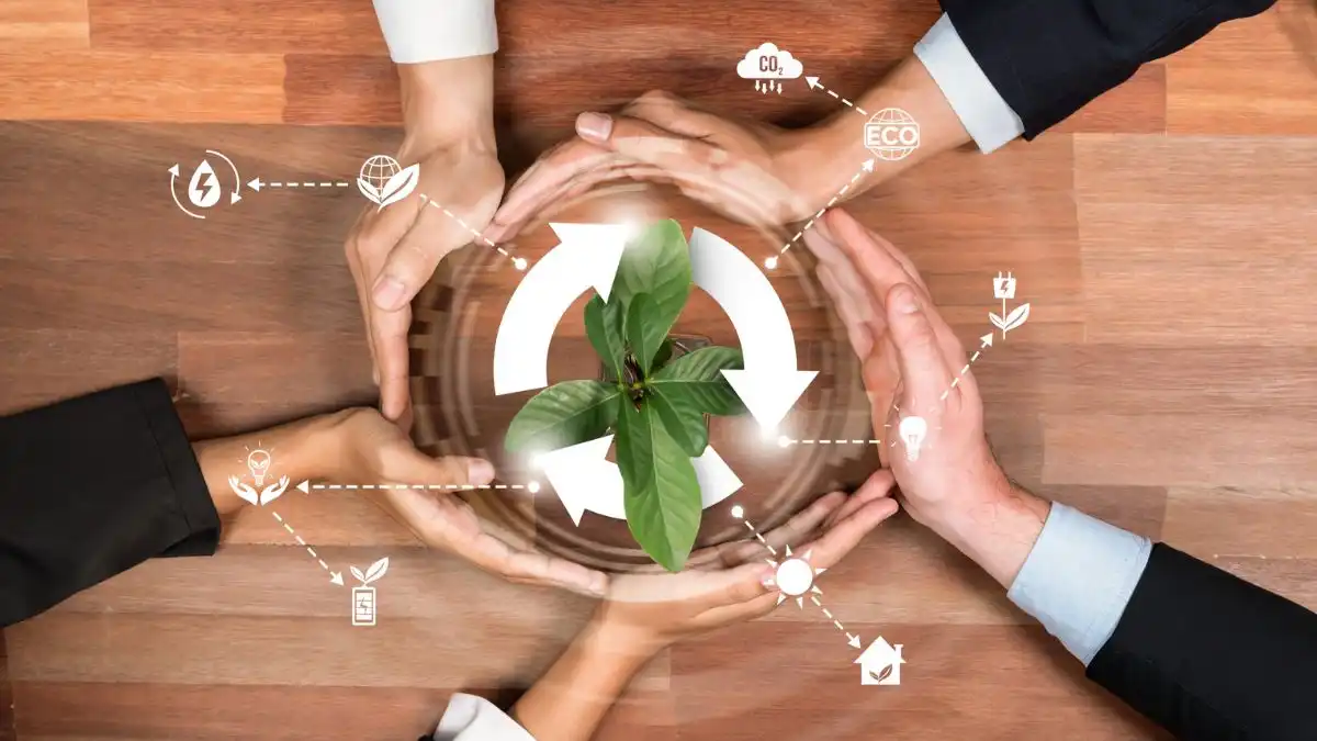 Imagem mostrando mãos unidas em torno de uma planta, simbolizando a importância da sustentabilidade.