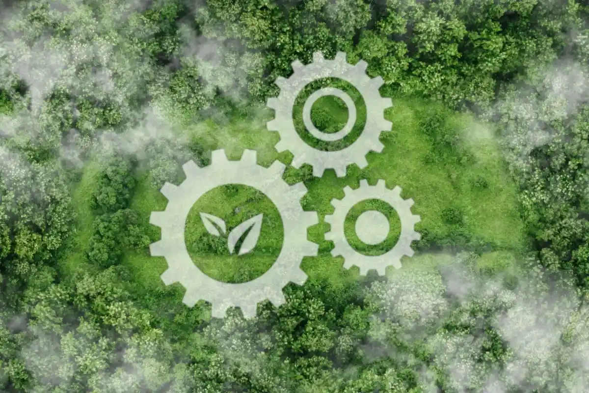 Imagem aérea de uma mata com ilustrações de engrenagens, representando a sustentabilidade.